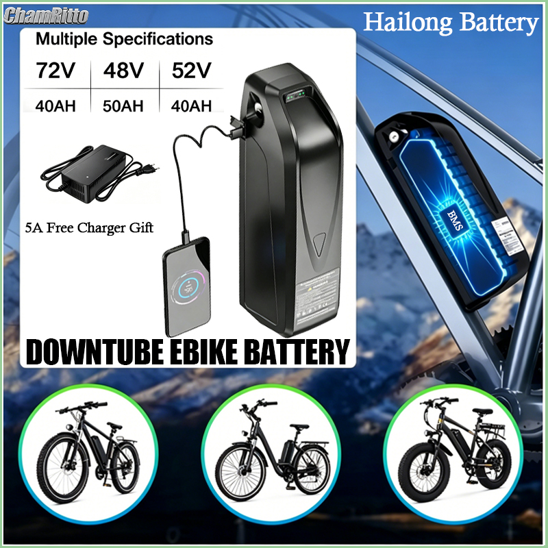 Ebike Battery 48V 20Ah Hailong - Batteria per Bici Elettrica Hailong 48V