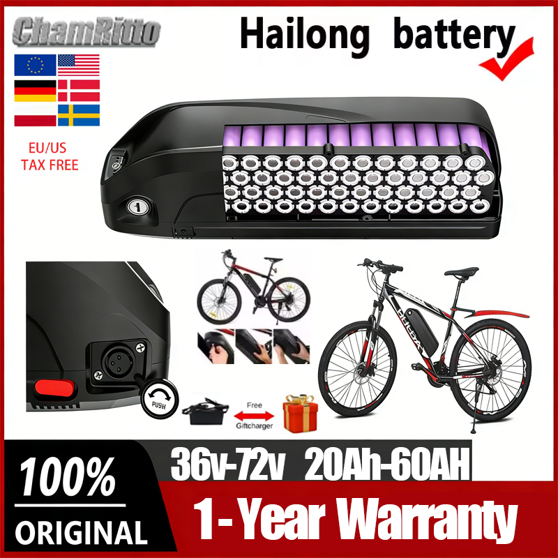 Batteria Hailong per Biciclett - Ebike Battery 48V 20Ah Hailong recensione e prezzo