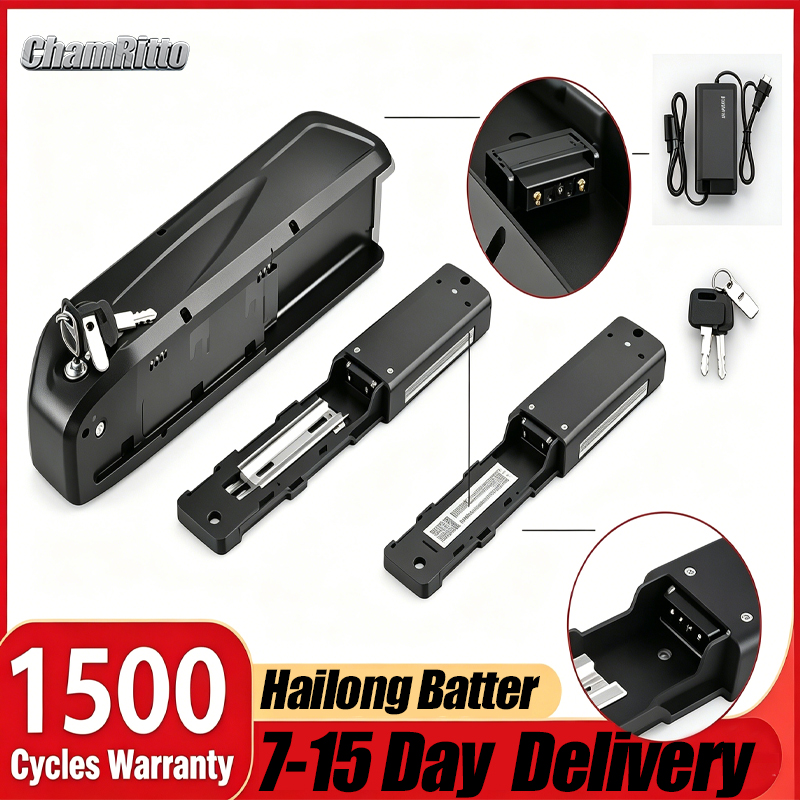 Batteria Hailong per Biciclett - Ebike Battery 48V 20Ah Hailong recensione e prezzo